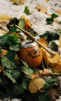 Rebirth Mate Gourd + Straw Set  – Image 2