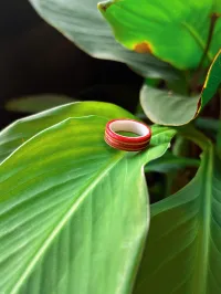 The Ceramic Rose | Men's Wedding Band – Image 1