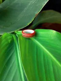 The Ceramic Rose | Men's Wedding Band – Image 2