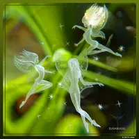Elf Sphere 80mm – Image 4