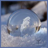 Dolphin Sphere – Image 9