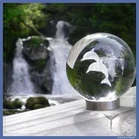 Dolphin Sphere – Image 6
