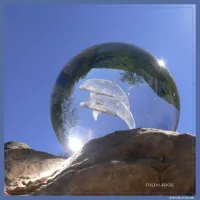 Dolphin Sphere – Image 5
