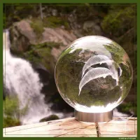 Dolphin Sphere – Image 4