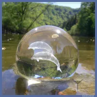Dolphin Sphere – Image 2