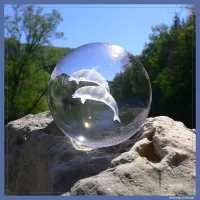 Dolphin Sphere – Image 1