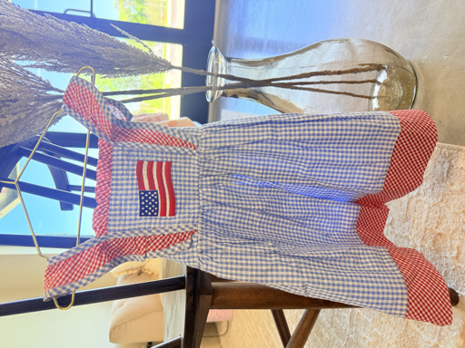 4th of July Picnic Dress – Image 1