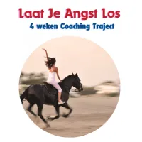 Online Groep Traject- Laat Je Angst Los – Image 1