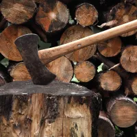 Chopping Blocks – Image 1