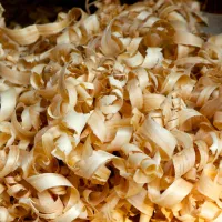 Shavings – Image 1