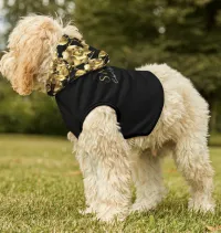 SMILE, Chin Up! Pet Hoodie – Image 1