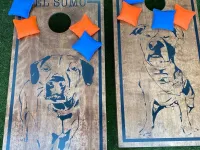 Pets/Animal Boards – Image 6