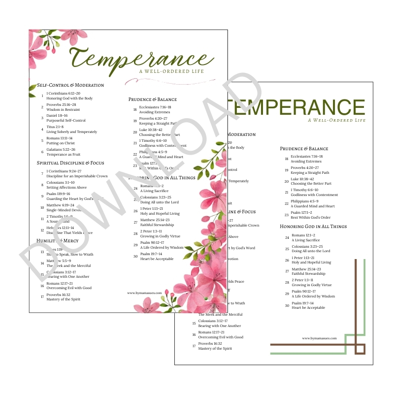 Temperance: A Well-Ordered Life – Image 1