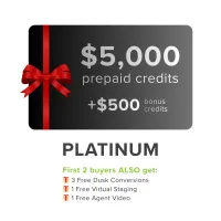 PREPAID CREDITS - PLATINUM – Image 1