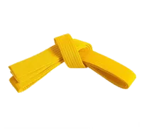 Belt | Kyu – 7, Yellow