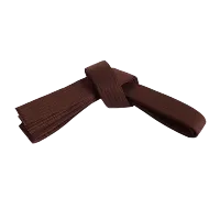 Belt | Kyu – 4, Brown