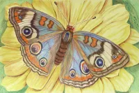 On The Wings Of Love – Image 2