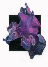 The Power Of Purple – Image 2