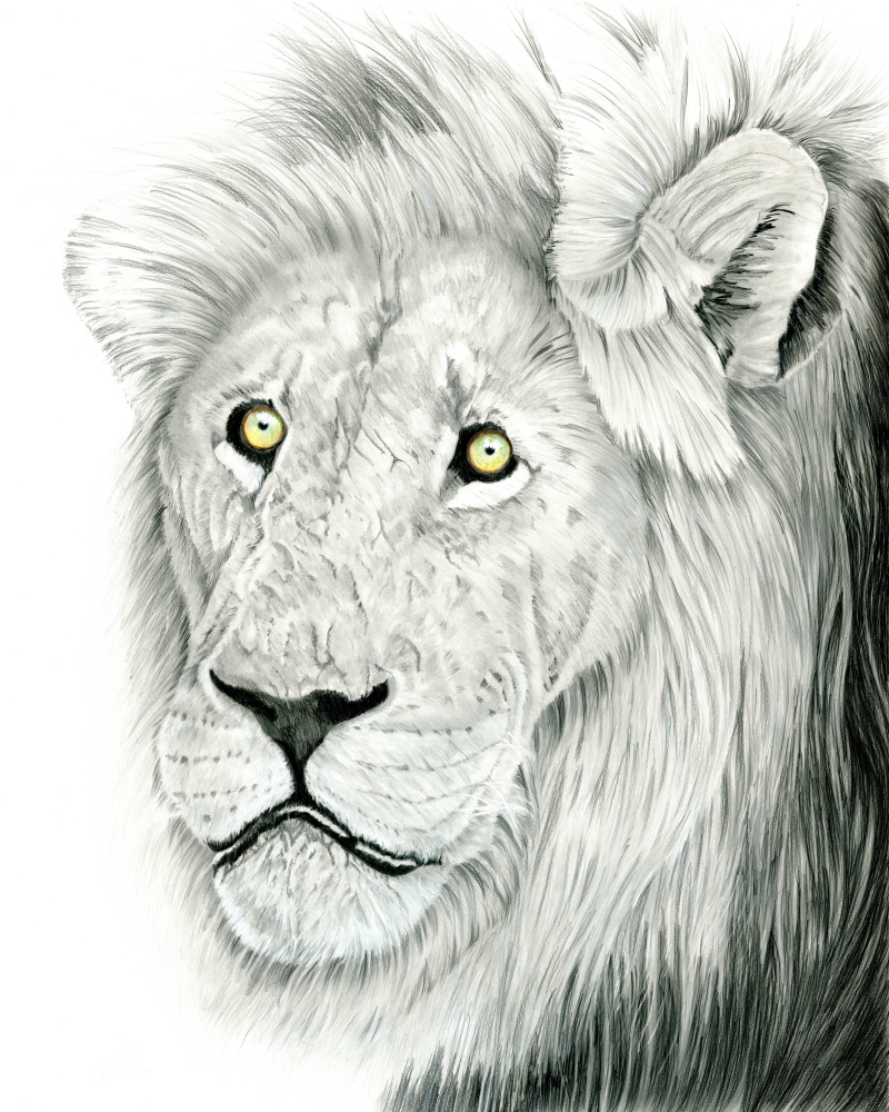 Your Highness – Image 3