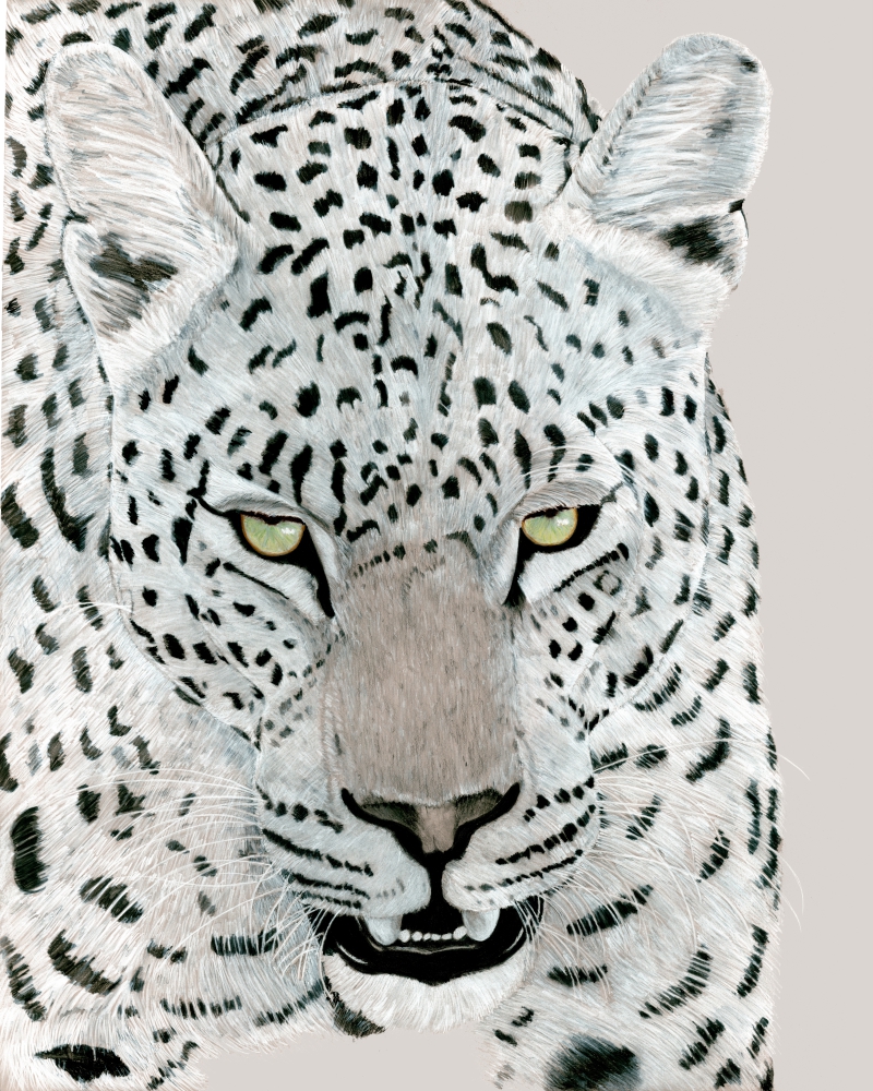Spot On – Image 3