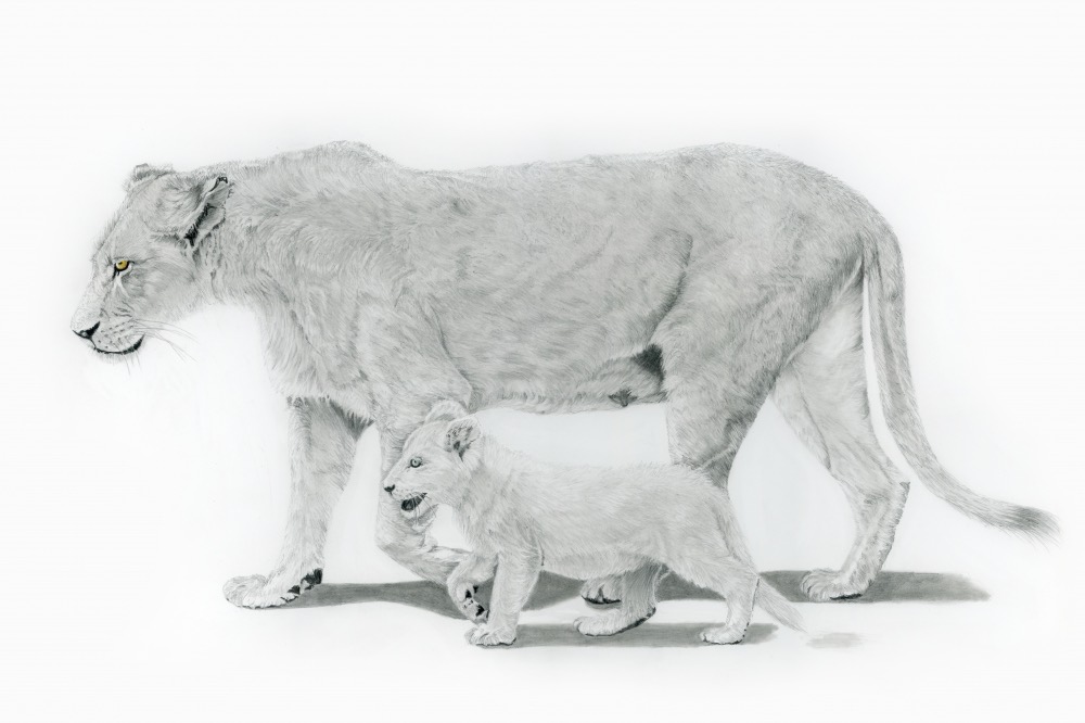 A Mother's Love – Image 2