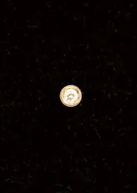 14KT-22KT VS Diamond   – Image 1