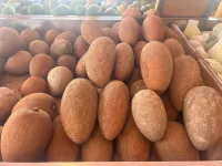 Mamey – Imagen 1