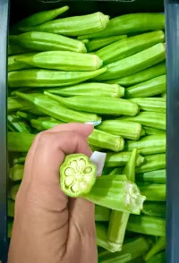 Indu okra – Image 1
