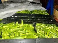 Indu okra – Image 2
