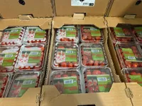 Grape tomato – Image 1