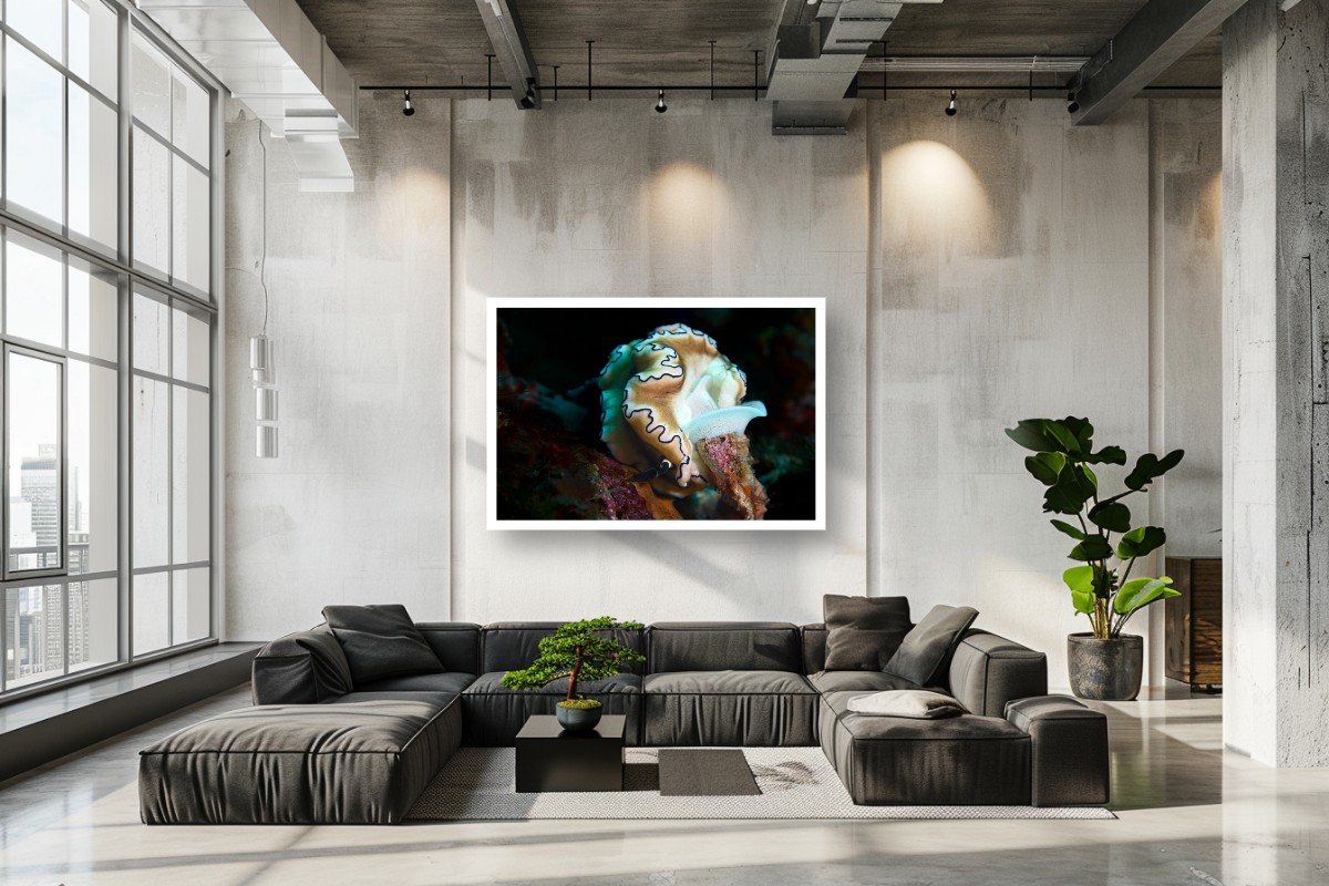 The Next Generation  – Image 9