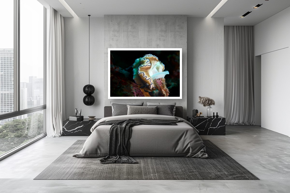 The Next Generation  – Image 7