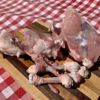 Chicken Bones/Carcasses - 2 carcasses per pack – Image 1