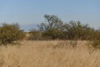 Prime Investment Opportunity: 1.07 Acres in Sunsites, AZ (Cochise County) – Image 6