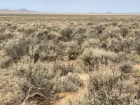 Get Ready to Take Off On 4.78-Acres in Costilla, CO – Image 4