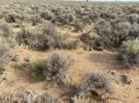 Get Ready to Take Off On 4.78-Acres in Costilla, CO – Image 3