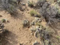 Get Ready to Take Off On 4.78-Acres in Costilla, CO – Image 2