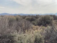 Get Ready to Take Off On 4.78-Acres in Costilla, CO – Image 5