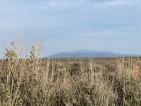 Get Ready to Take Off On 4.78-Acres in Costilla, CO – Image 7