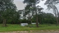 3.06 Acres with 628 Ft Paved Road Frontage in Woodville, TX – Image 4