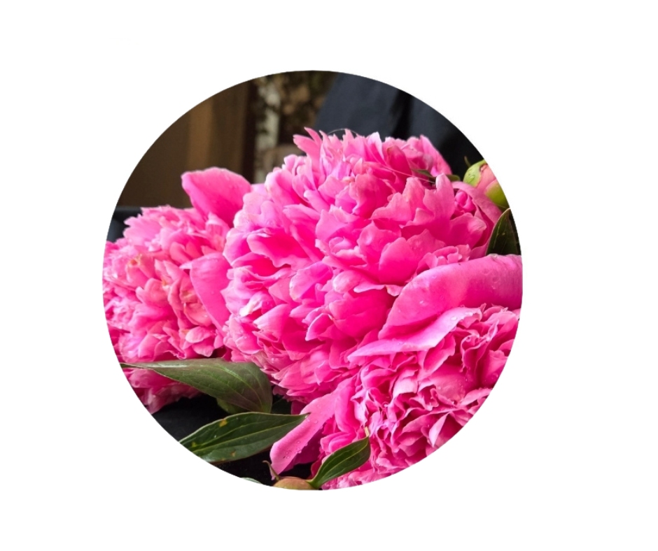 Custom Oil Floral Rounds - 14"  – Image 1