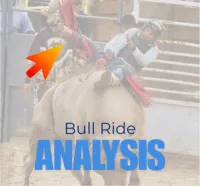 Expert Bull Ride Analysis - 1 Video – Image 1