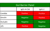 Leaky Gut Test – Image 1