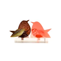 Frame voor 2 vogeltjes van glas – Warm bruin, Oranje