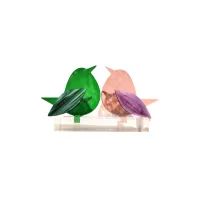 Frame voor 2 vogeltjes van glas – Oud roze, Diep groen