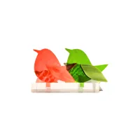 Frame voor 2 vogeltjes van glas – Oranje, Gras groen
