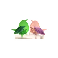 Frame voor 2 vogeltjes van glas – Oud roze, Midden groen