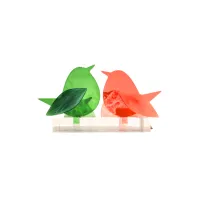 Frame voor 2 vogeltjes van glas – Oranje, Midden groen