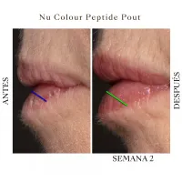 Nu Colour Lip Peptide  Pout  – Image 1