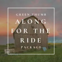 Along for the Ride for 1 Night – Image 1